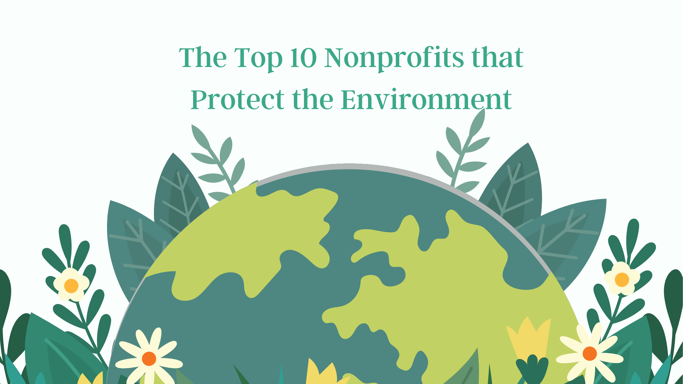 Top 23 Global Nonprofits Protecting the Environment